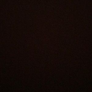 Meet your Posher, Tabitha